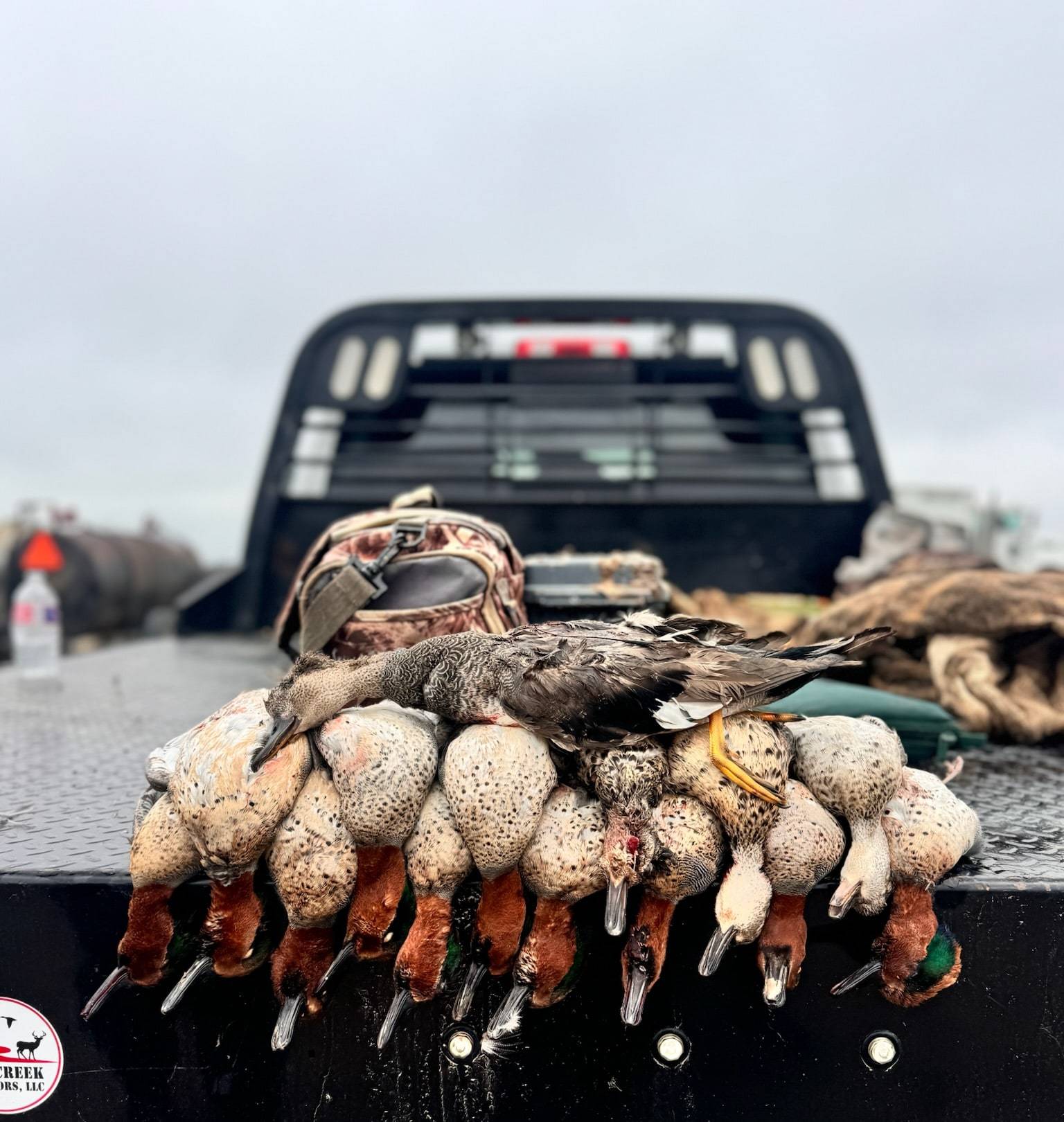 Row of green-winged teal and a gadwall laid across the back of a flatbed pickup with a Red Creek Outdoors decal
